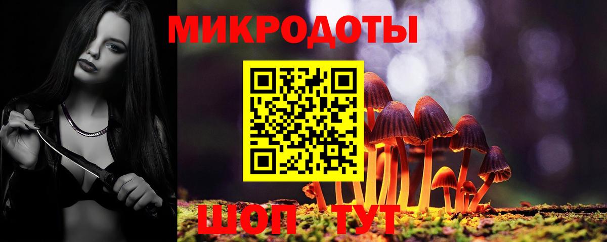 Псилоцибиновые грибы GOLDEN TEACHER  Вход с VPN  Черняховск 
