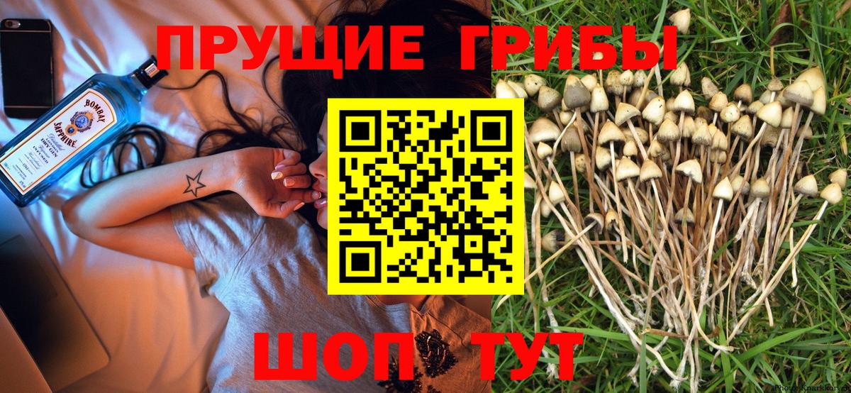 Галлюциногенные грибы прущие грибы Черняховск